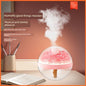 New Arrival Preserved Fresh Flower Humidifier Spray Aromatherapy Bedroom Office Air-Conditioned Room Desktop Fancy Girls Gifts